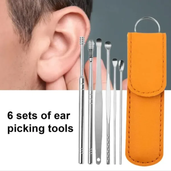 6PCS Ear Pick Cleaning Set | Stainless Steel Ear Cleaner Kit with Leather Case price